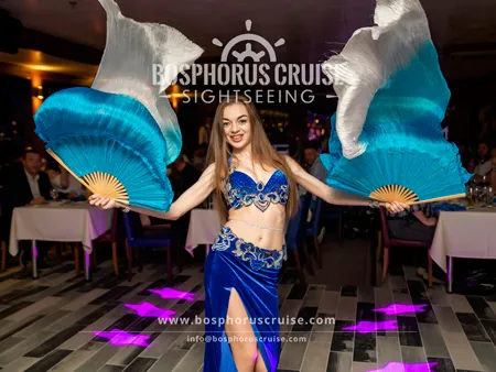 Bosphorus Dinner Cruise Experience