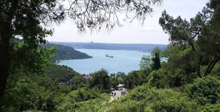 Marvels of Istanbul Tour with Bosphorus Cruise and Black Sea Cruise