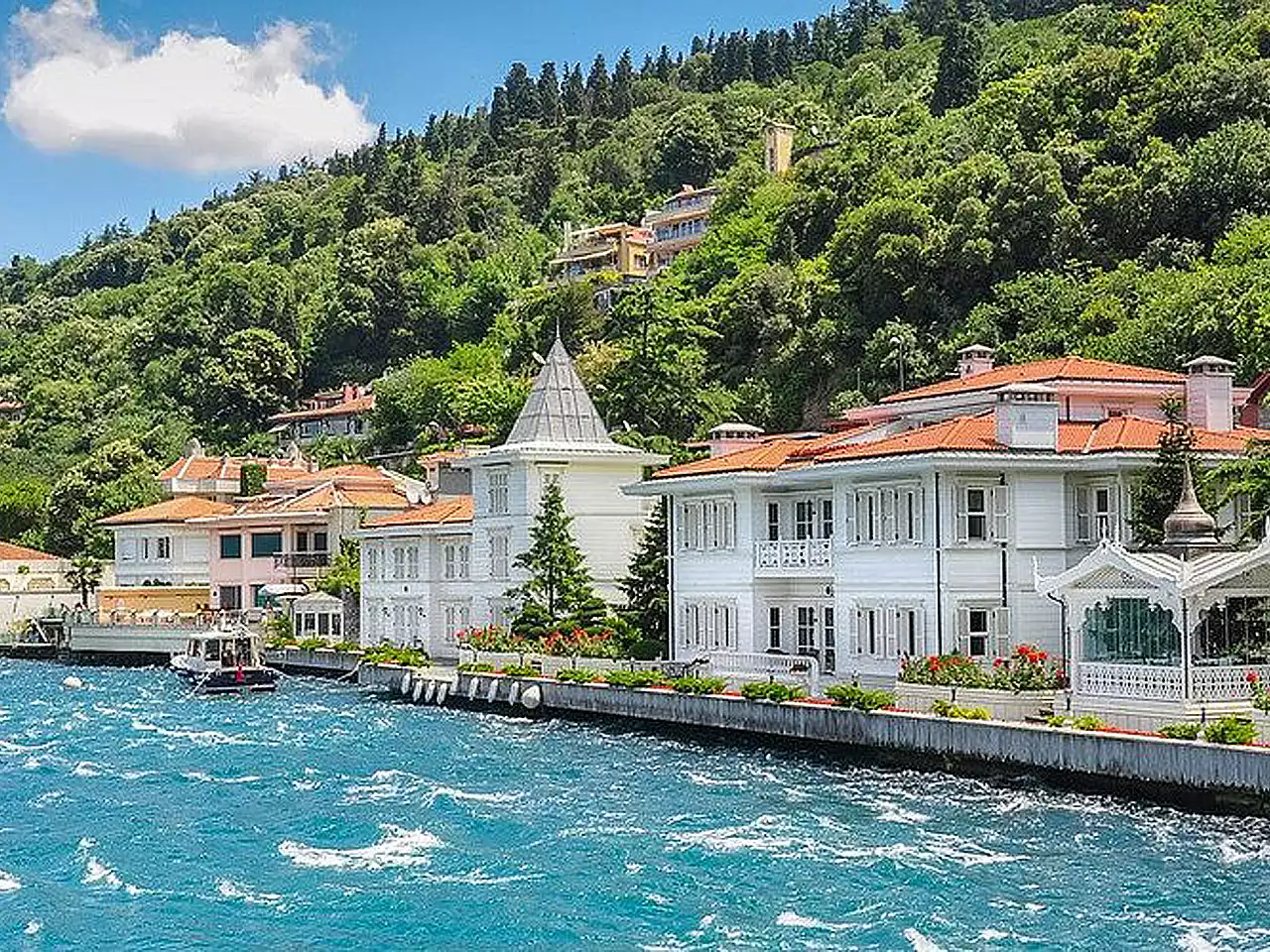 Private Bosphorus Architecture Cruise in Istanbul | Palaces, Yalıs & Waterfront Mosques Breakfast